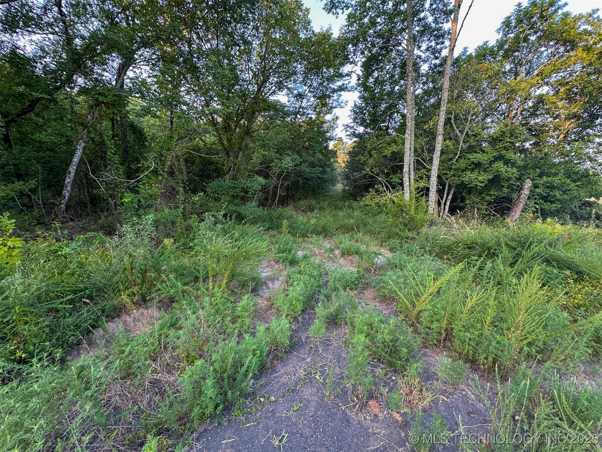 4 State Highway 43 Clayton OK 74536