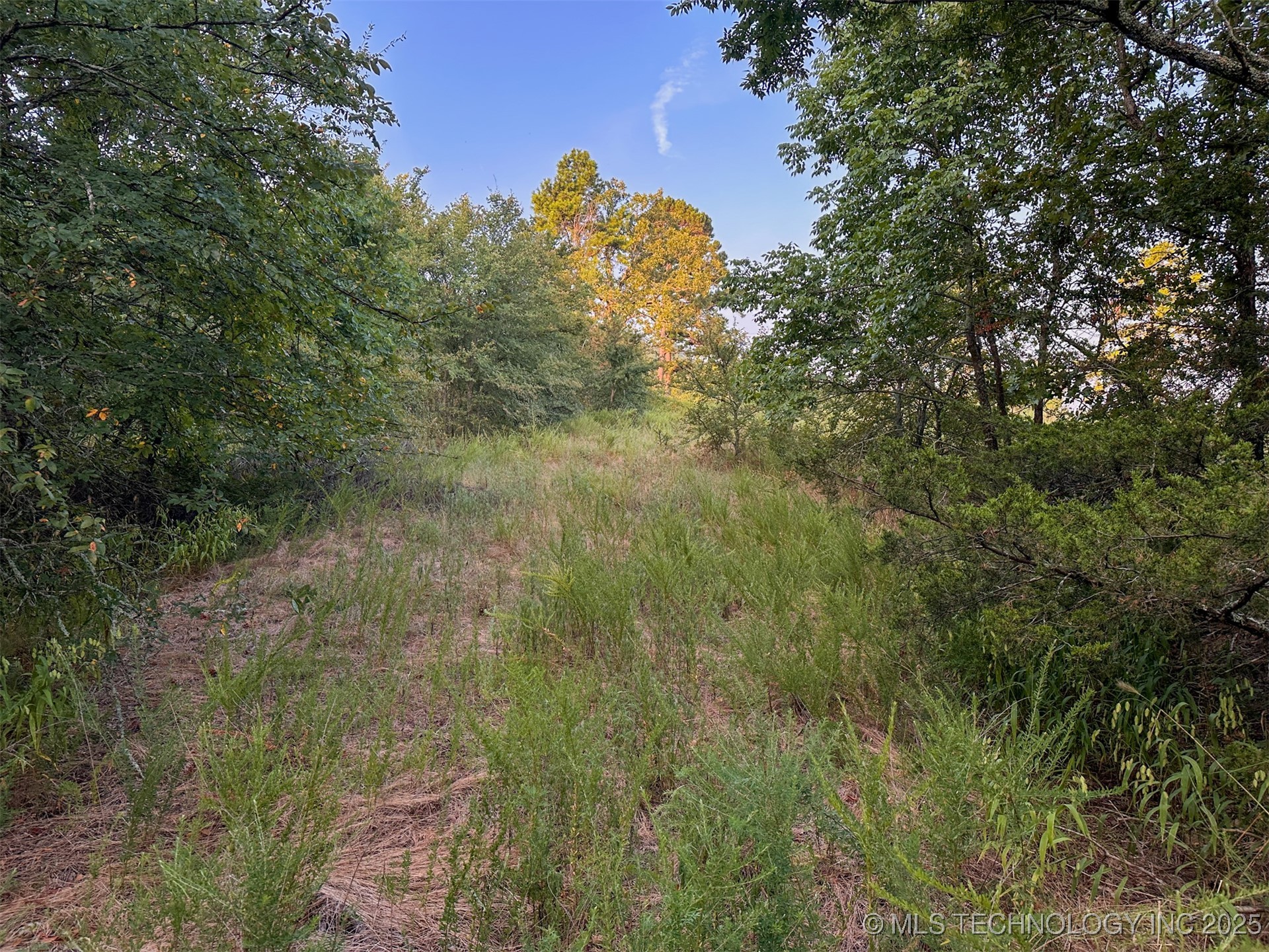 4 State Highway 43 Clayton OK 74536