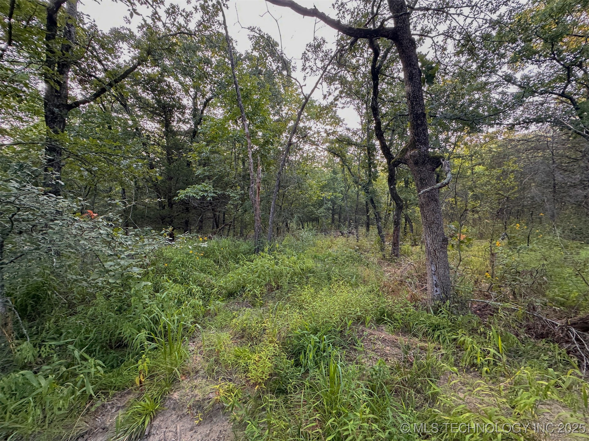 4 State Highway 43 Clayton OK 74536