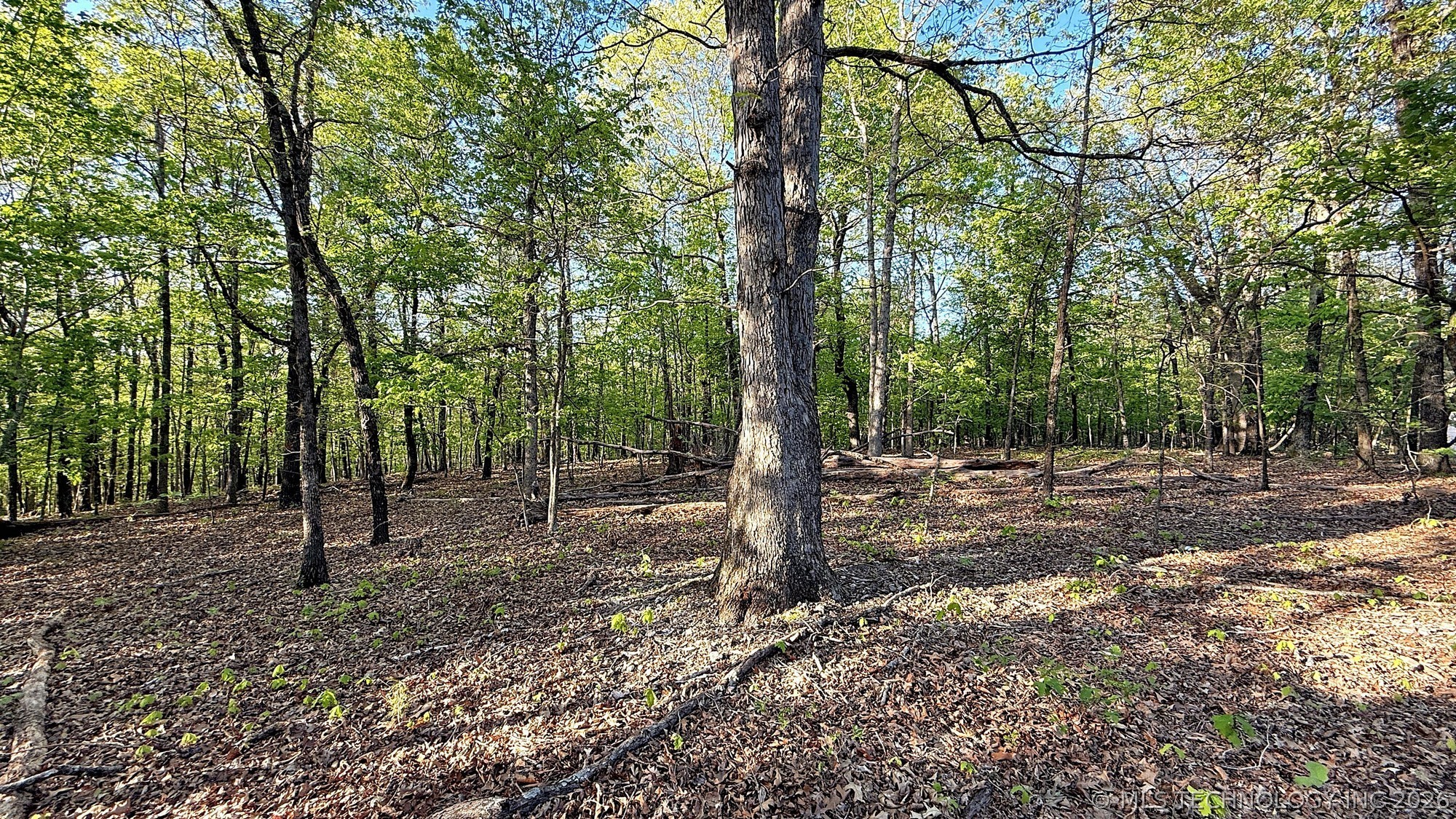 187 Bear Lake Road Kansas OK 74347