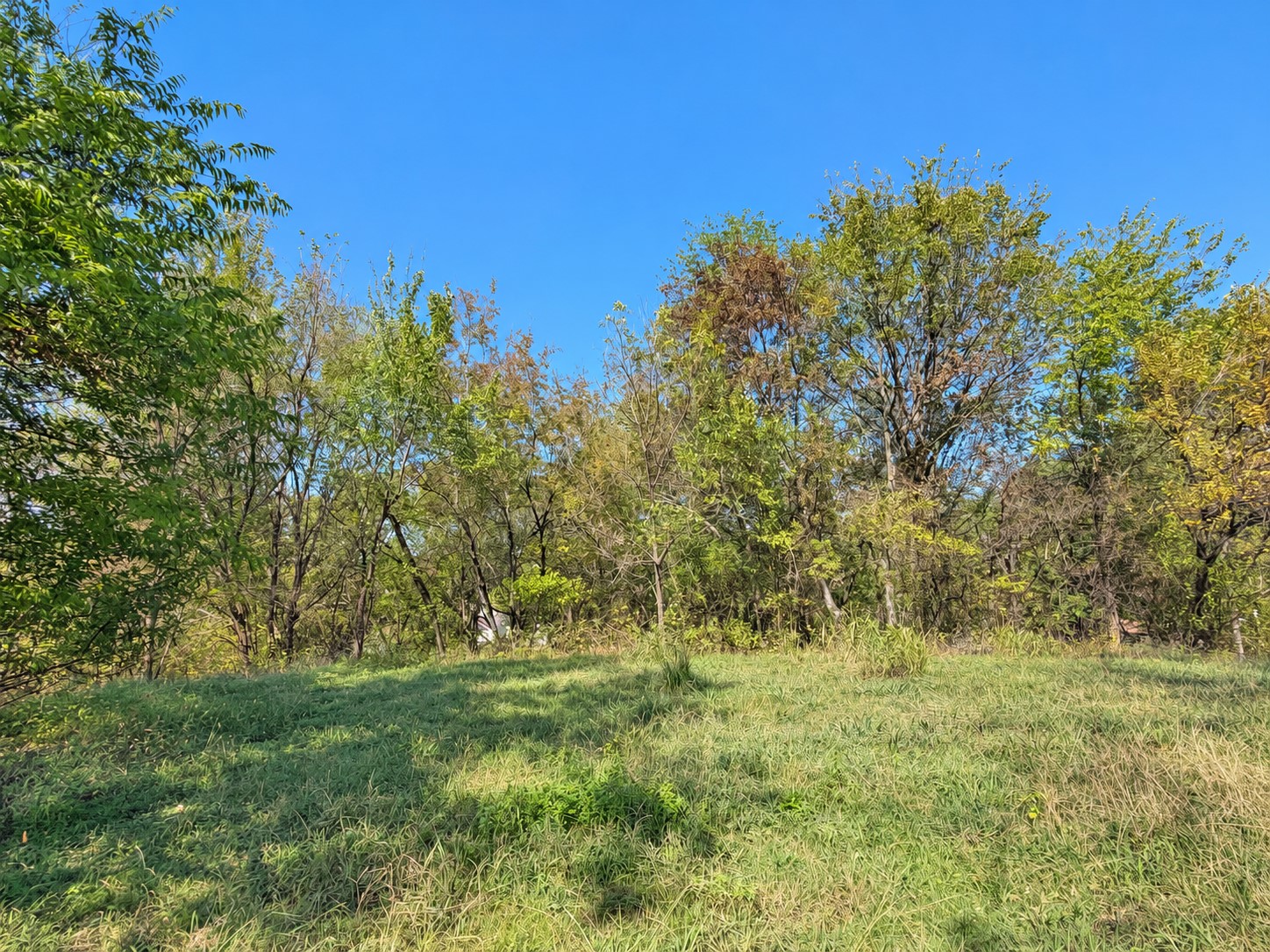 000 E Cedar Avenue Wilburton OK 74578