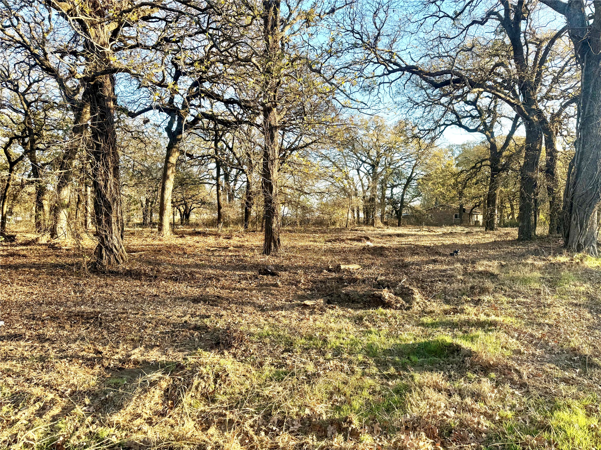 0 Highway 77 Highway Thackerville OK 73459