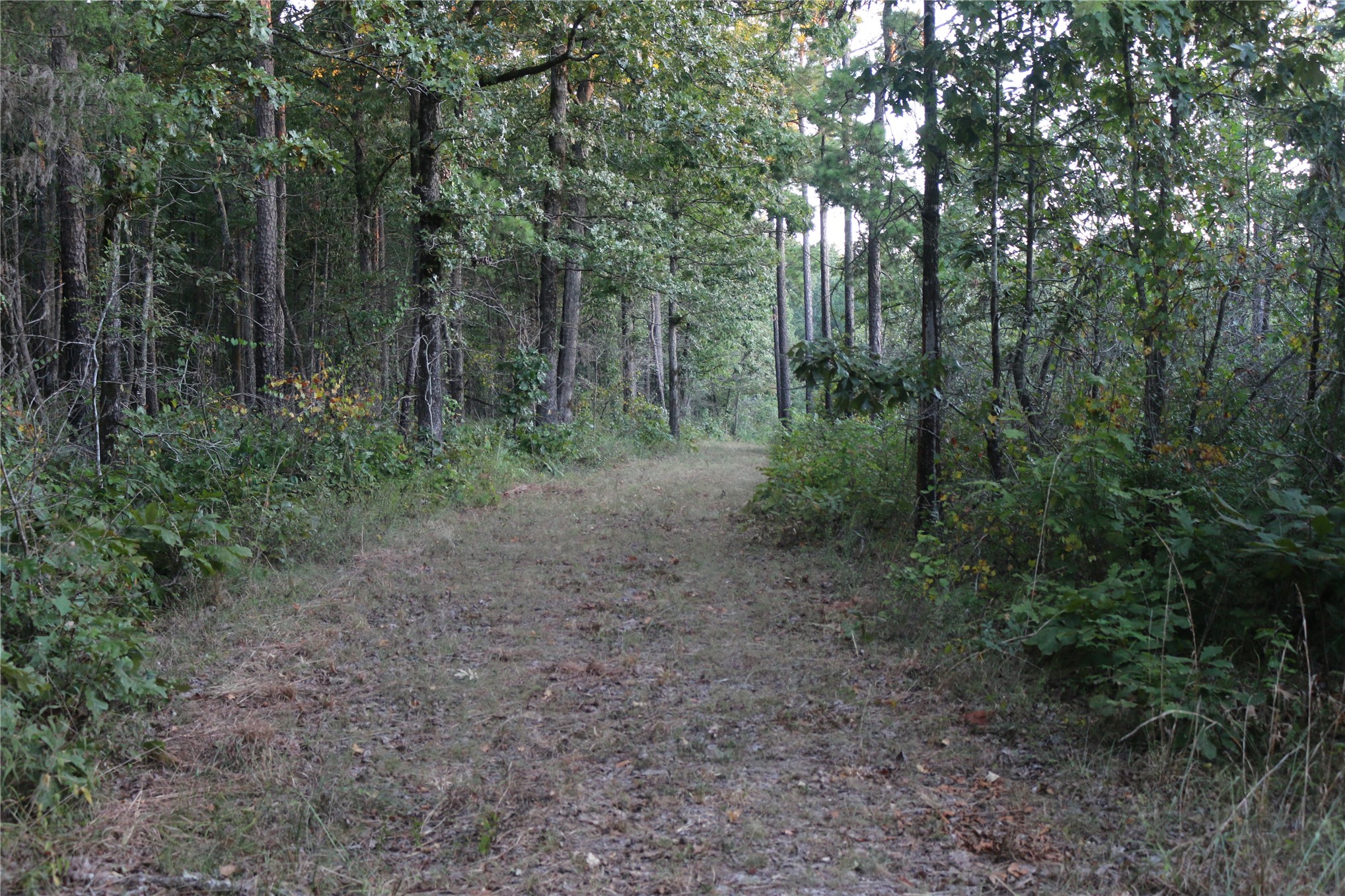 259 Highway Smithville OK 74957