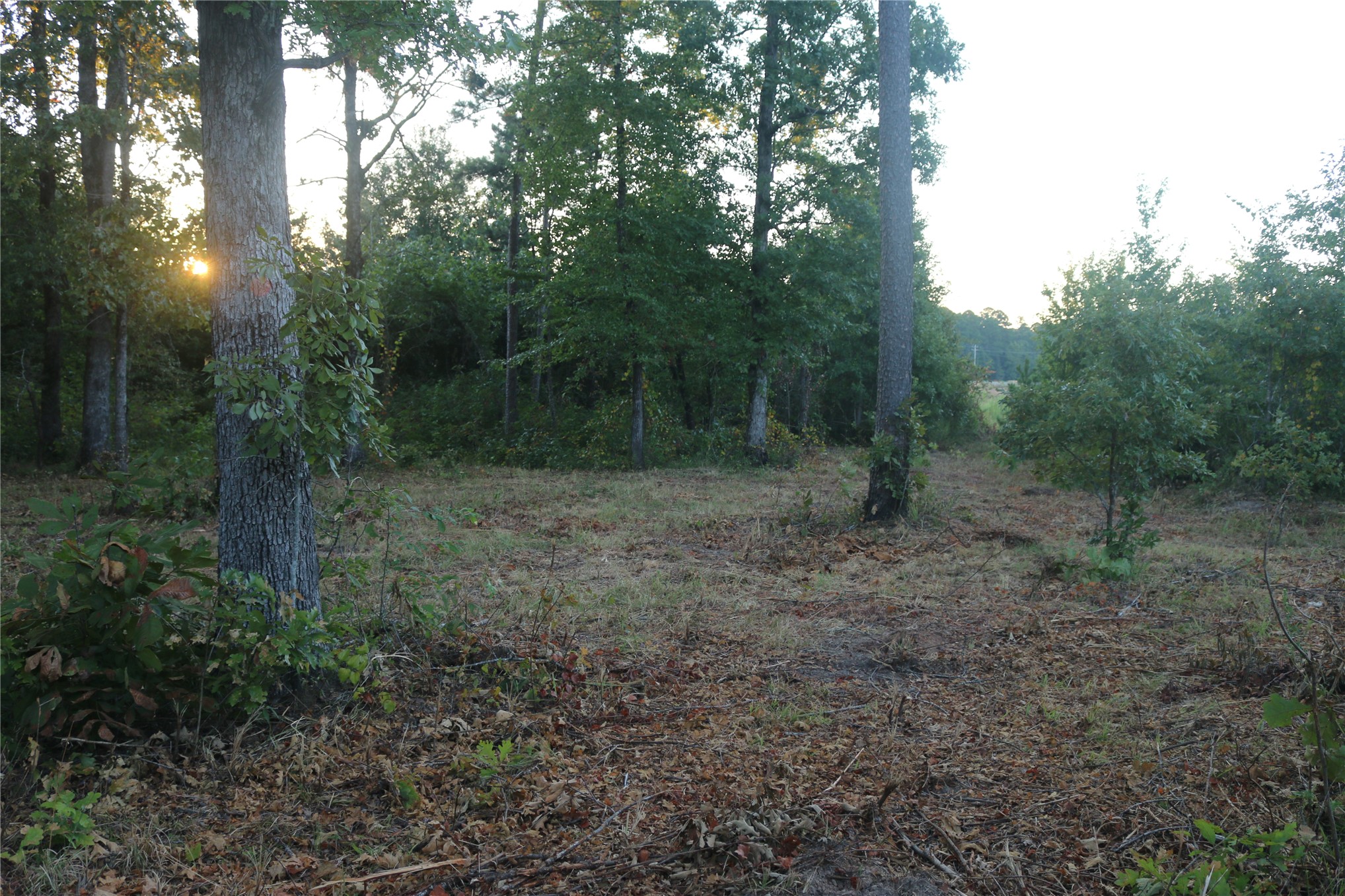259 Highway Smithville OK 74957