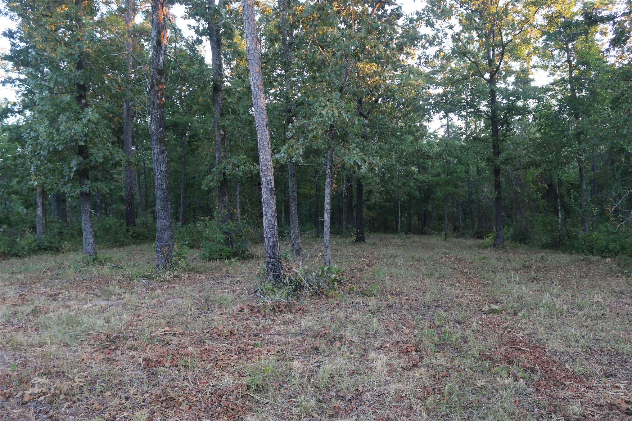 259 Highway Smithville OK 74957