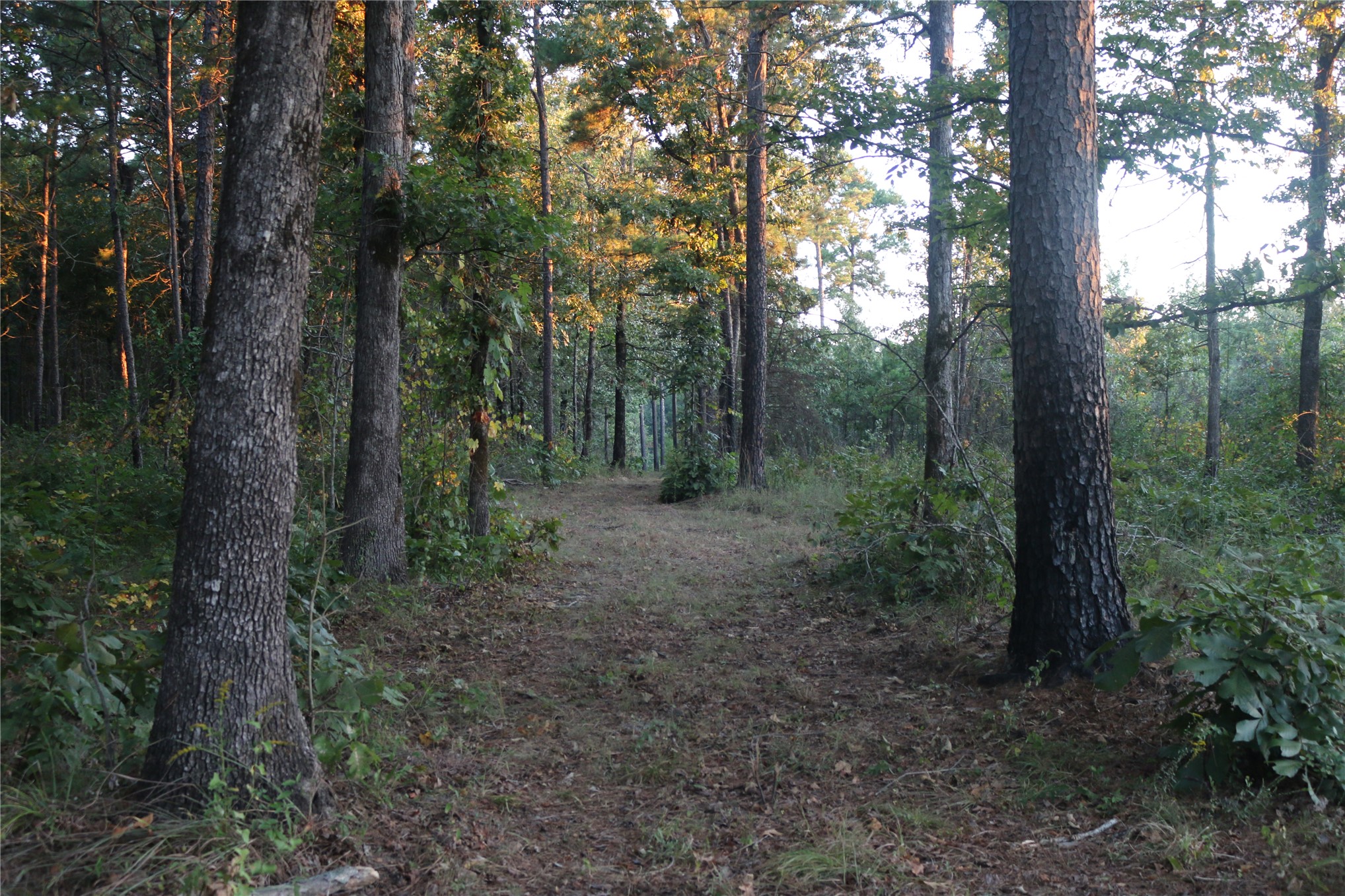 259 Highway Smithville OK 74957