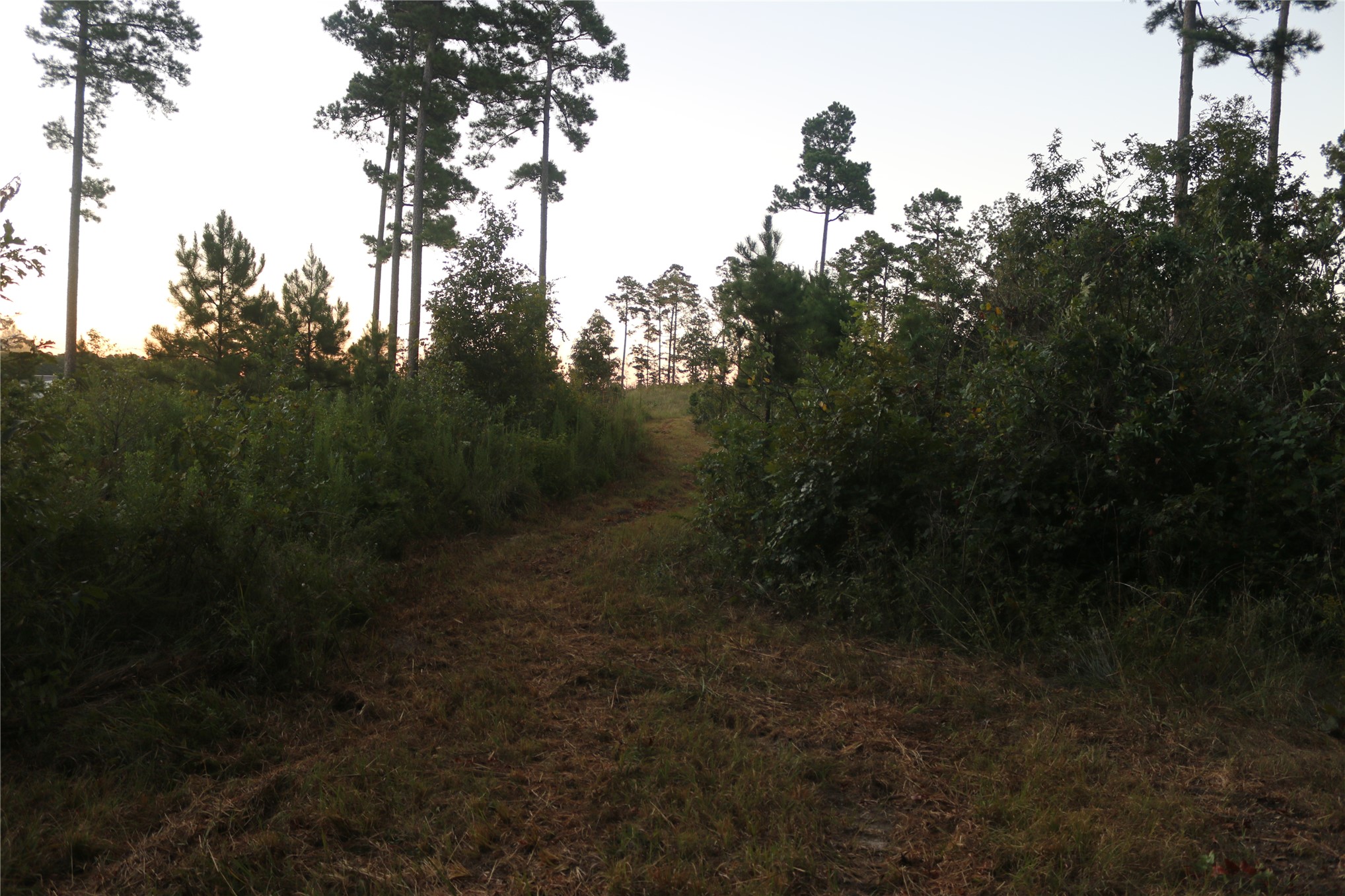 259 Highway Smithville OK 74957