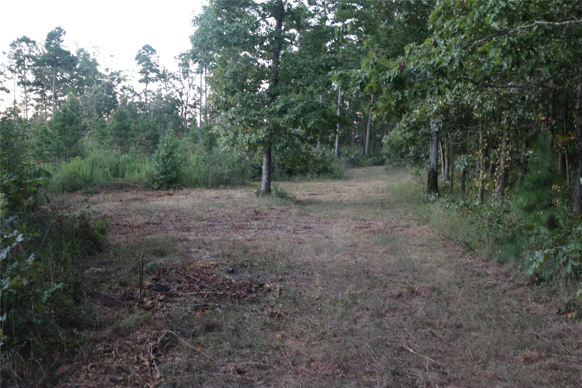 259 Highway Smithville OK 74957