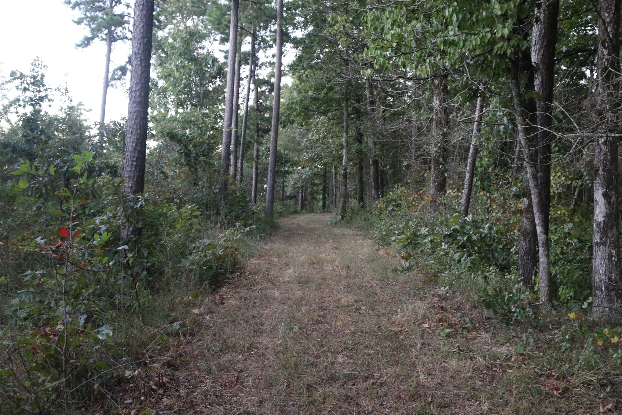 259 Highway Smithville OK 74957