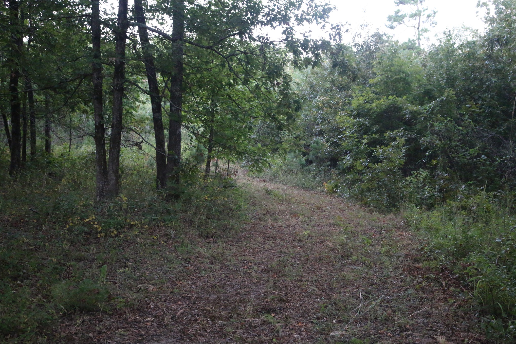 259 Highway Smithville OK 74957