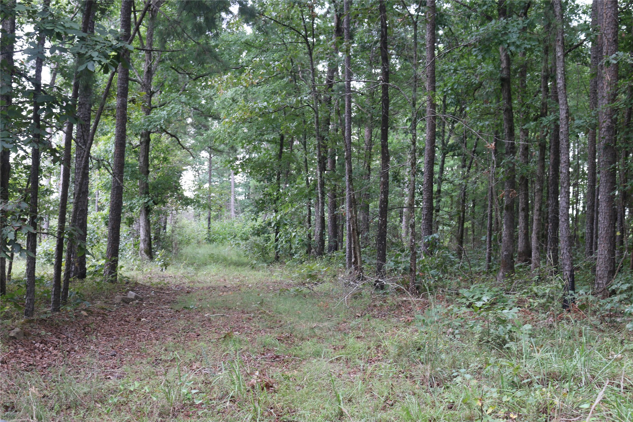 259 Highway Smithville OK 74957