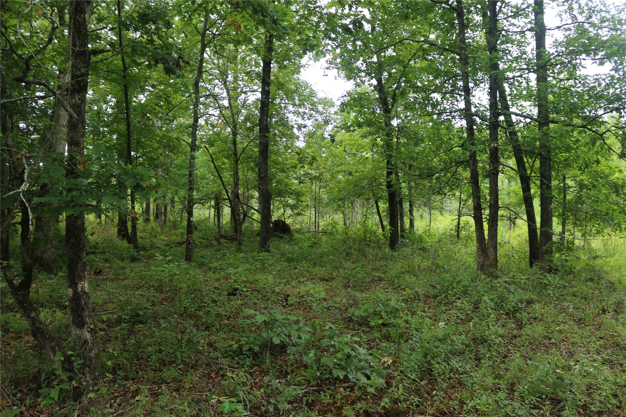 259 Highway Smithville OK 74957