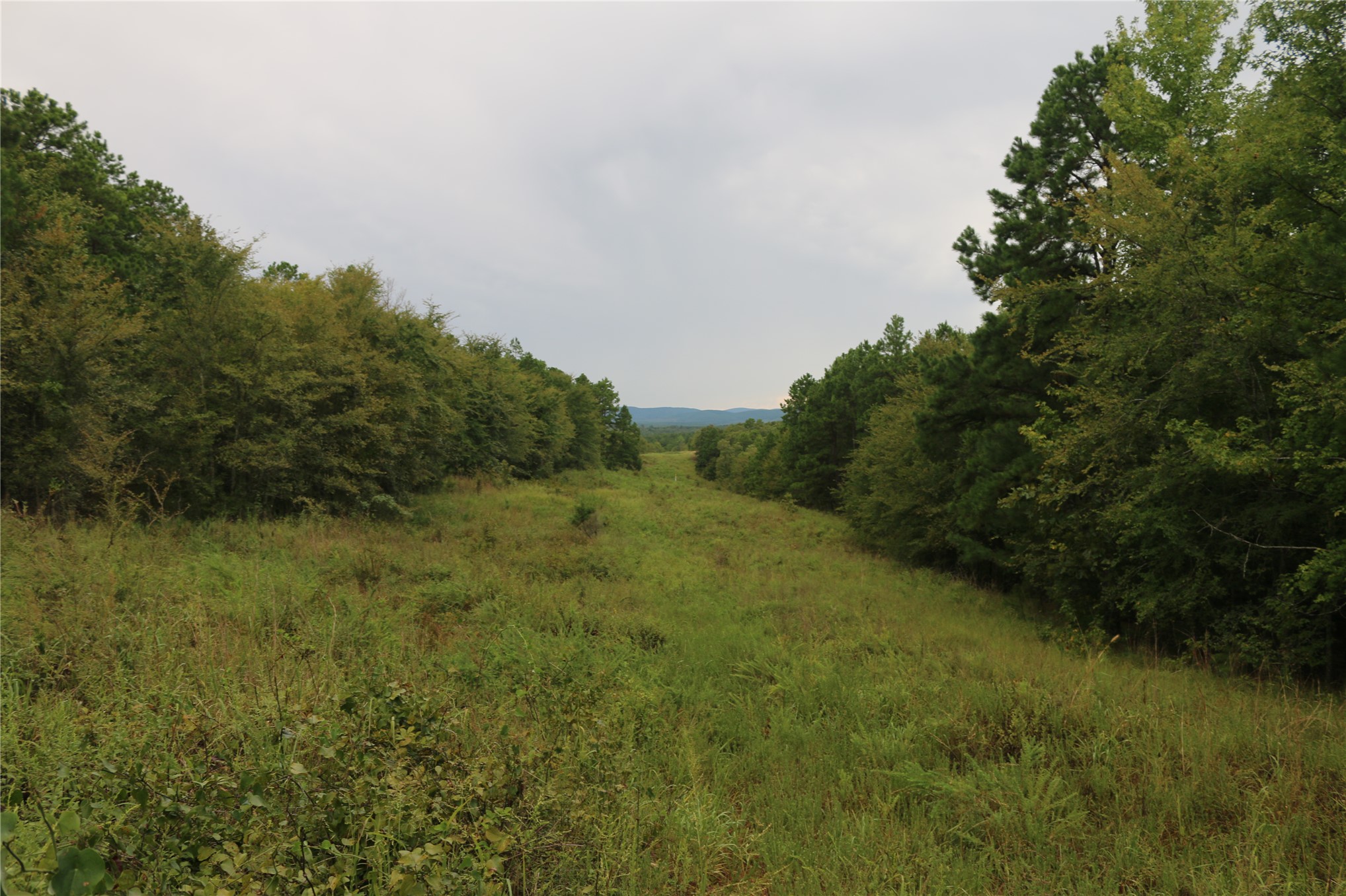259 Highway Smithville OK 74957