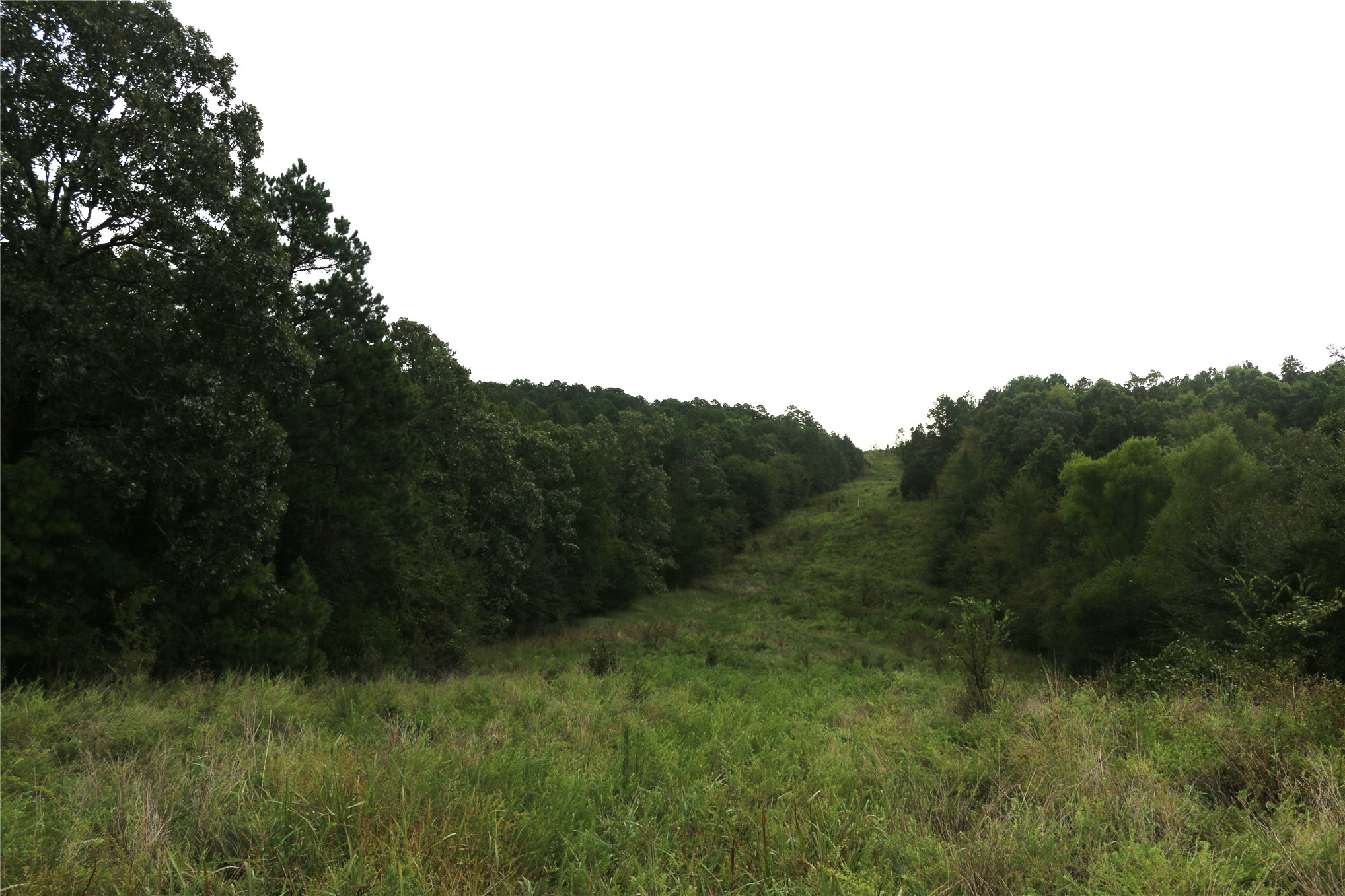 259 Highway Smithville OK 74957