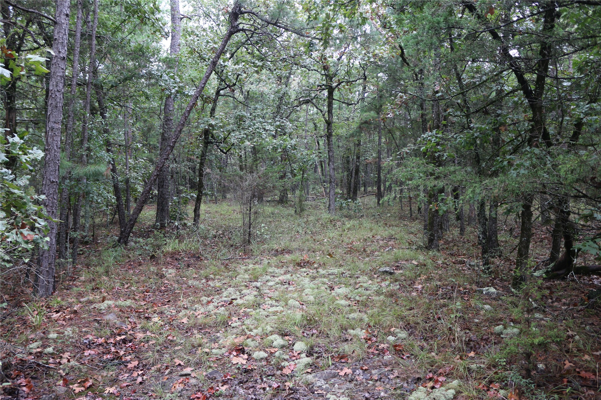 259 Highway Smithville OK 74957