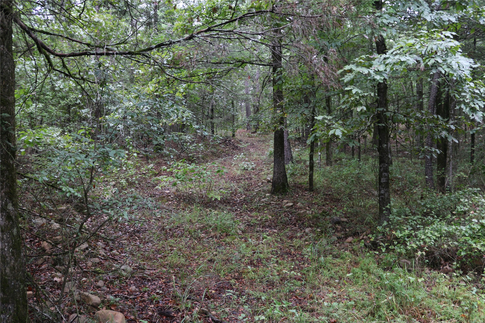 259 Highway Smithville OK 74957