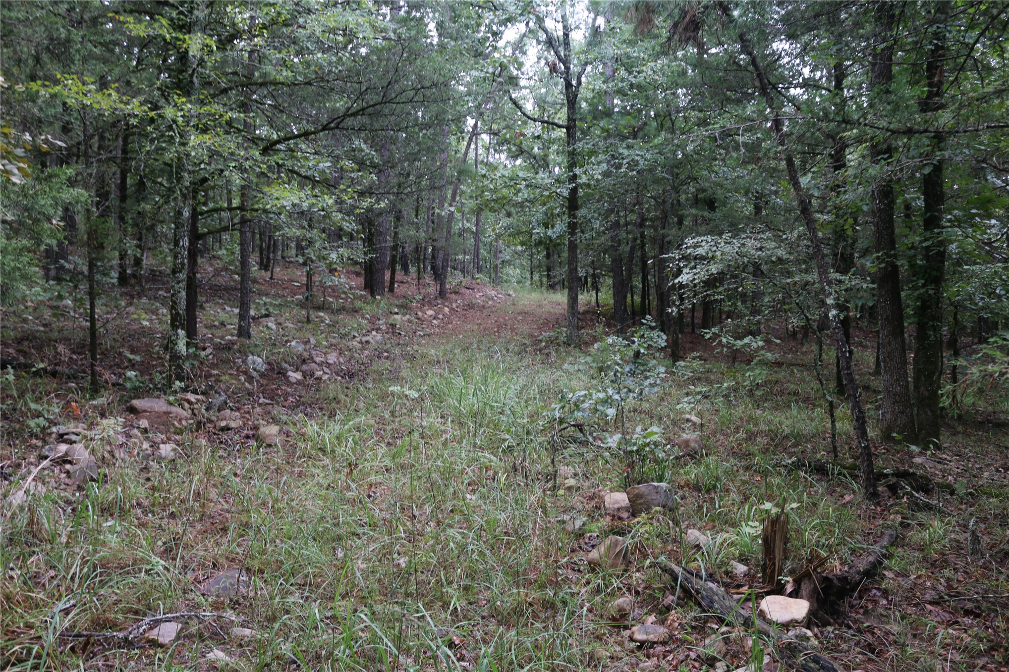 259 Highway Smithville OK 74957