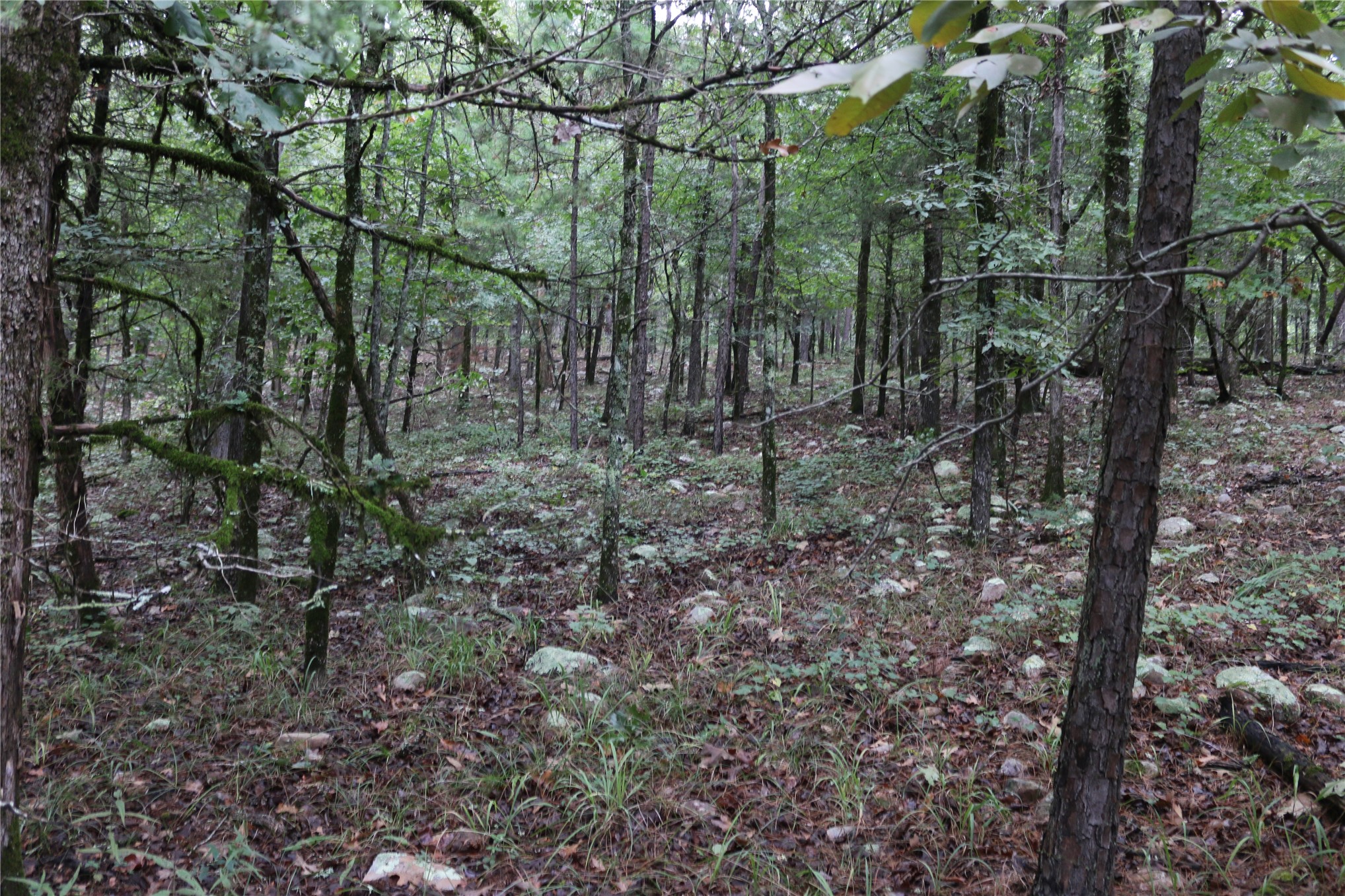 259 Highway Smithville OK 74957