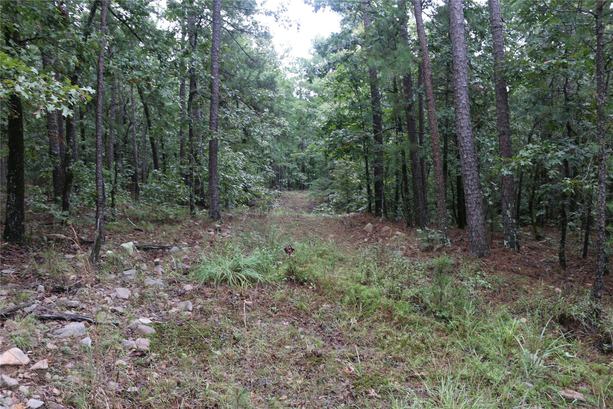 259 Highway Smithville OK 74957