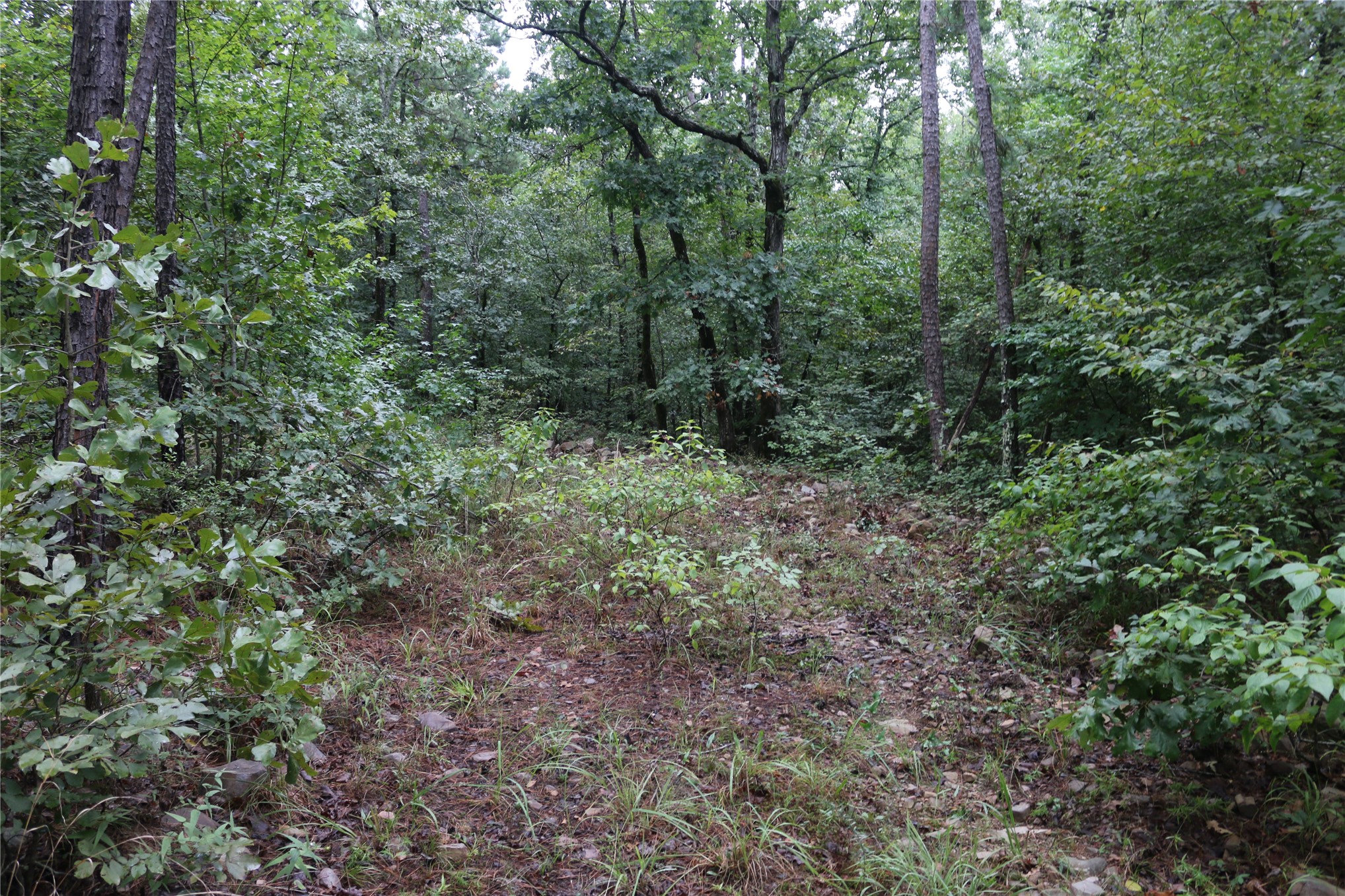259 Highway Smithville OK 74957
