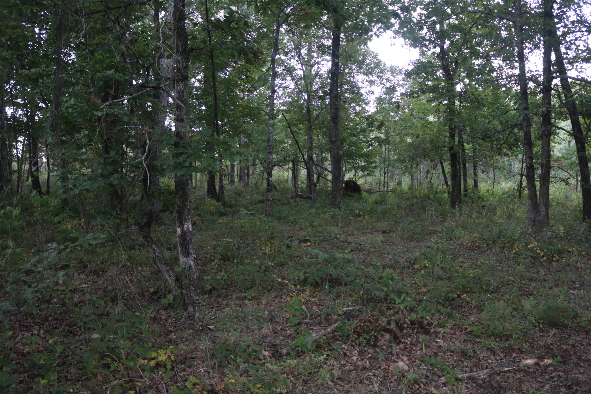 259 Highway Smithville OK 74957