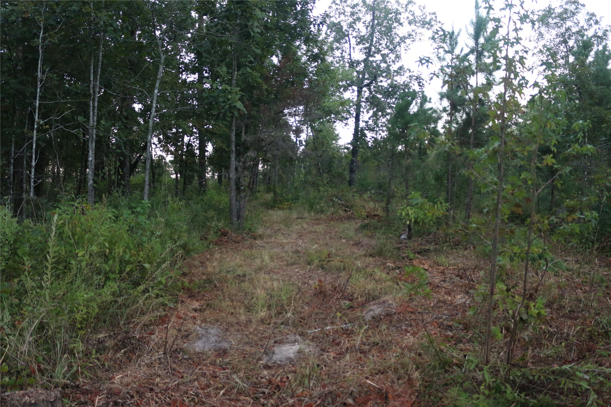 259 Highway Smithville OK 74957