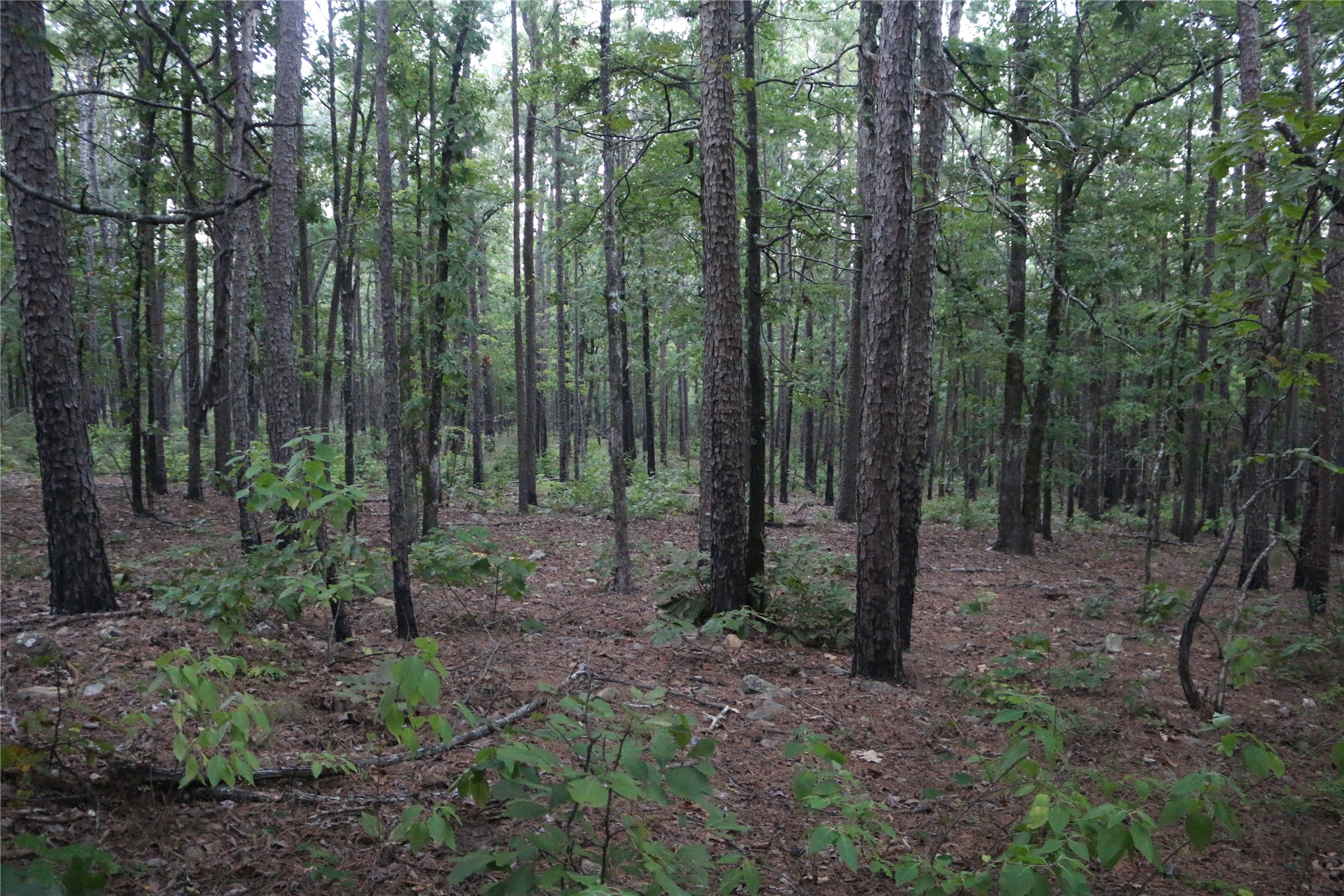 259 Highway Smithville OK 74957