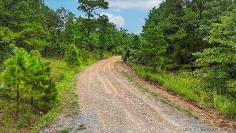 1025 Buffalo Valley OK 74571