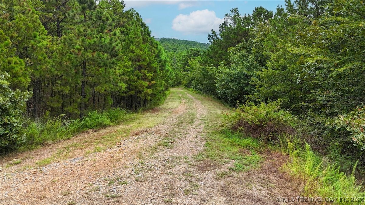 1025 Buffalo Valley OK 74571