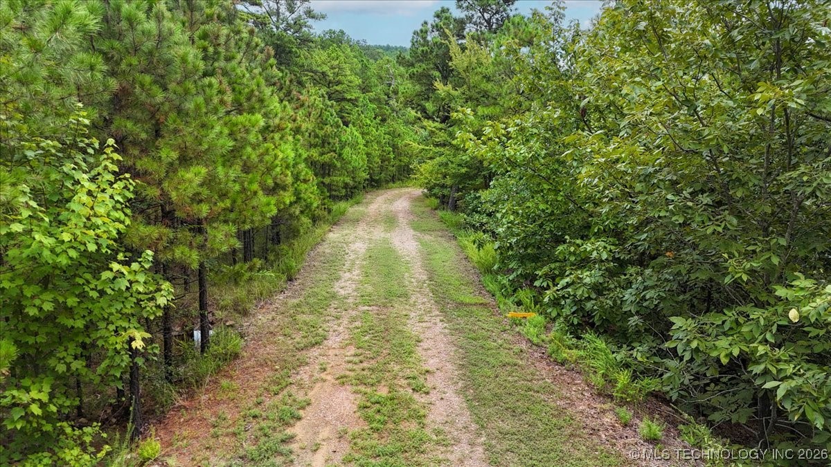 1025 Buffalo Valley OK 74571