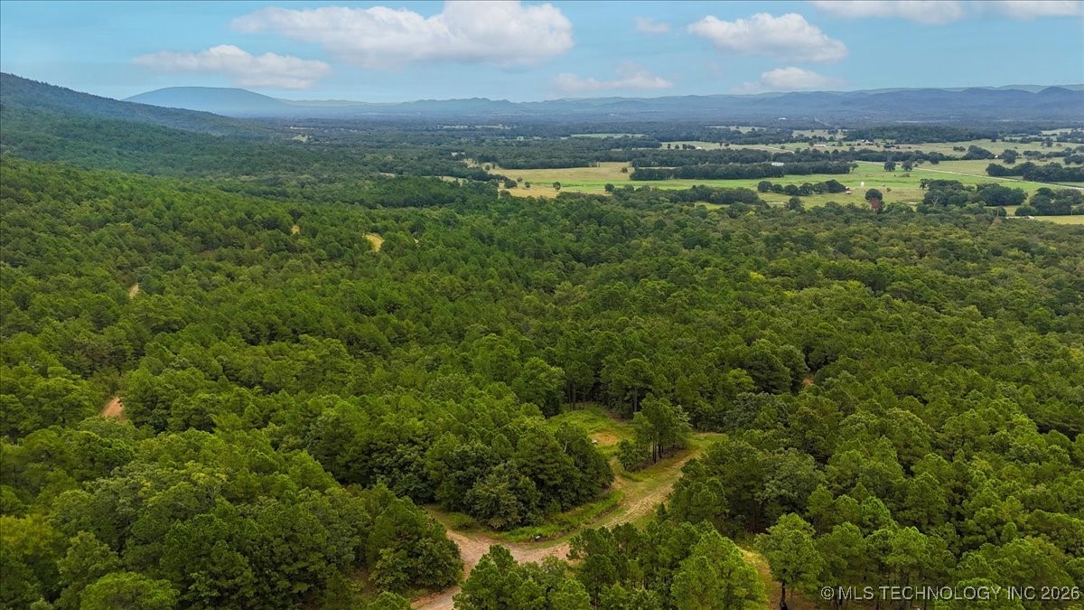 1025 Buffalo Valley OK 74571