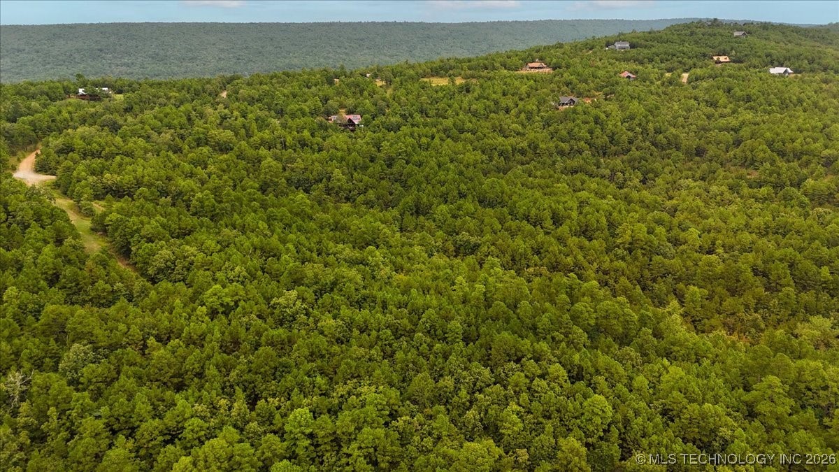 1025 Buffalo Valley OK 74571