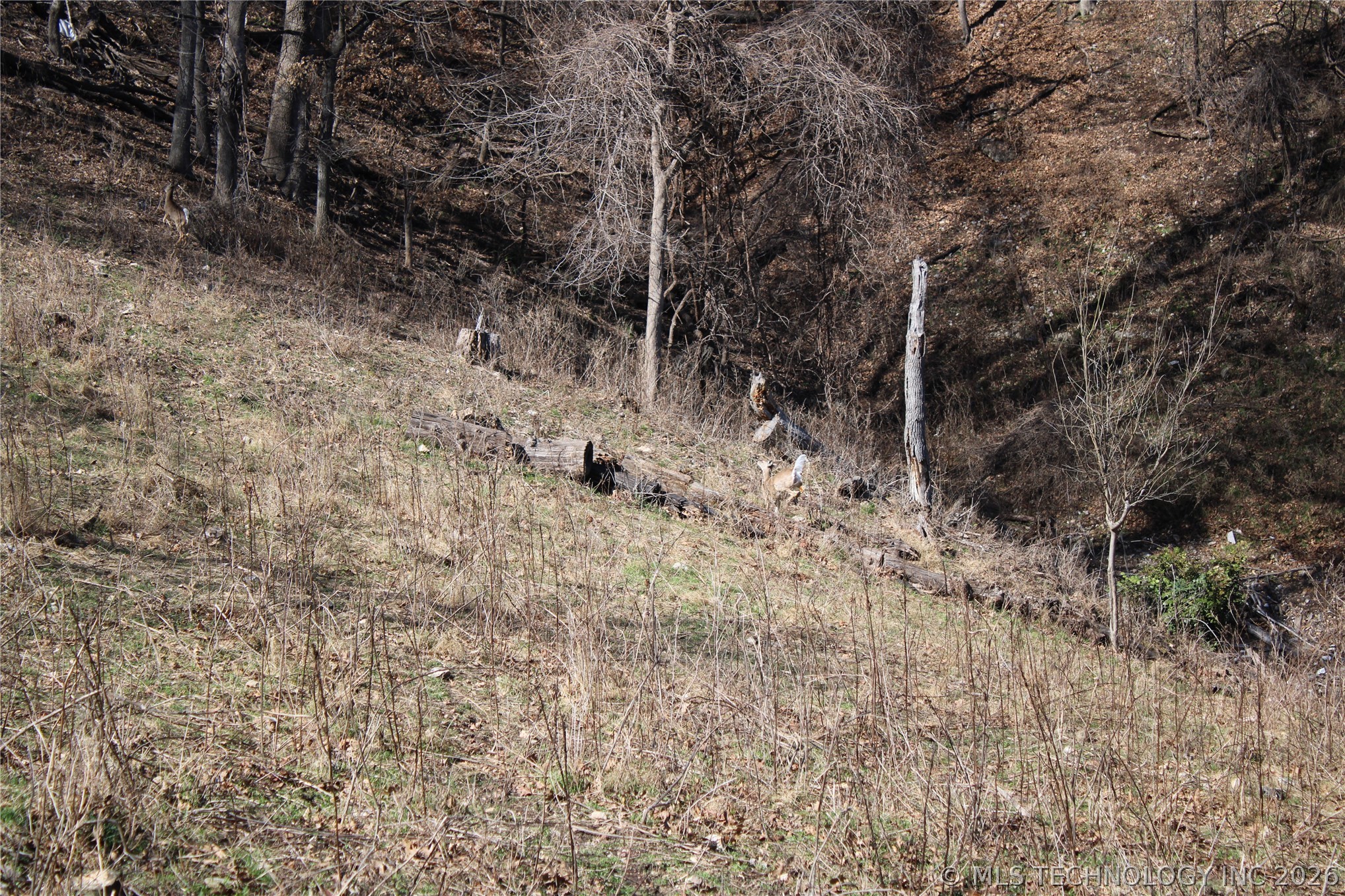 0000 Buzzard Bluff Afton OK 74331
