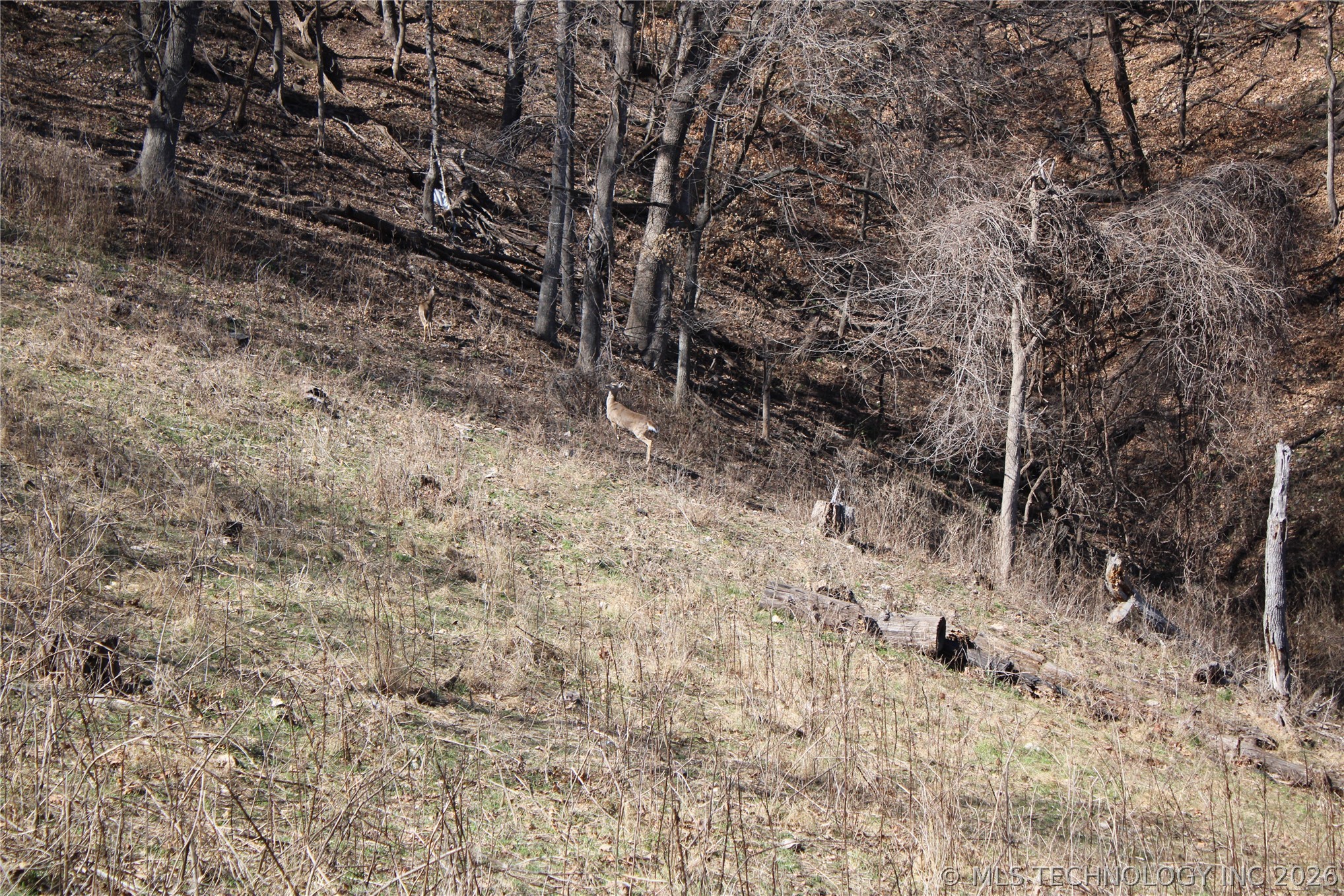 0000 Buzzard Bluff Afton OK 74331