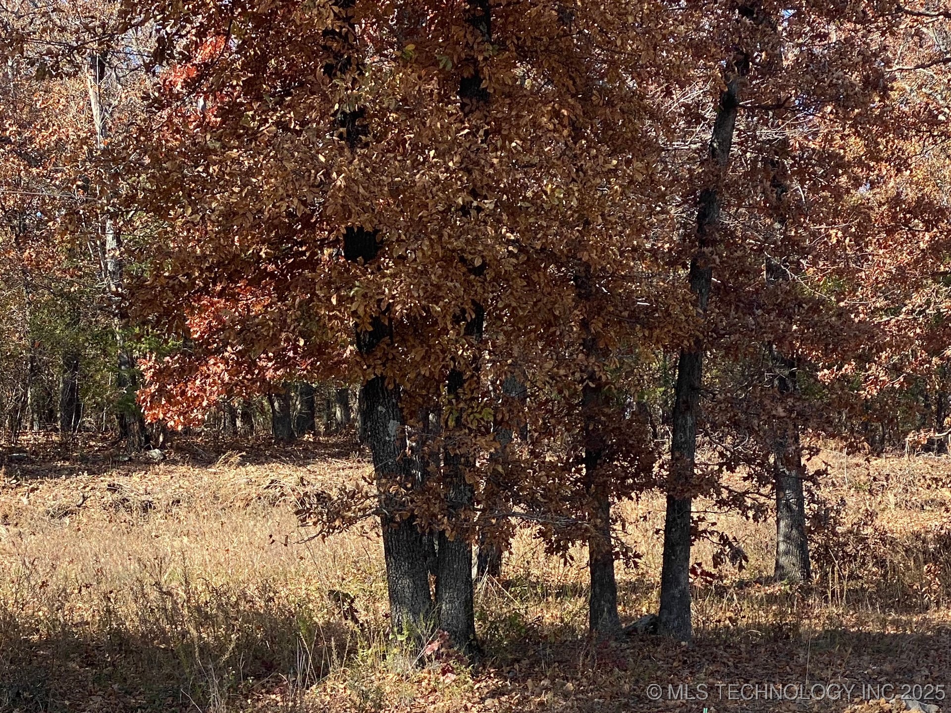 704 Woodlands Drive Tahlequah OK 74464