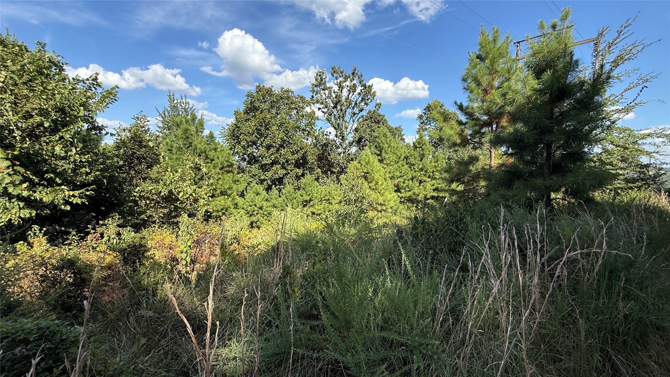 1269 Mallard Road Kansas OK 74347