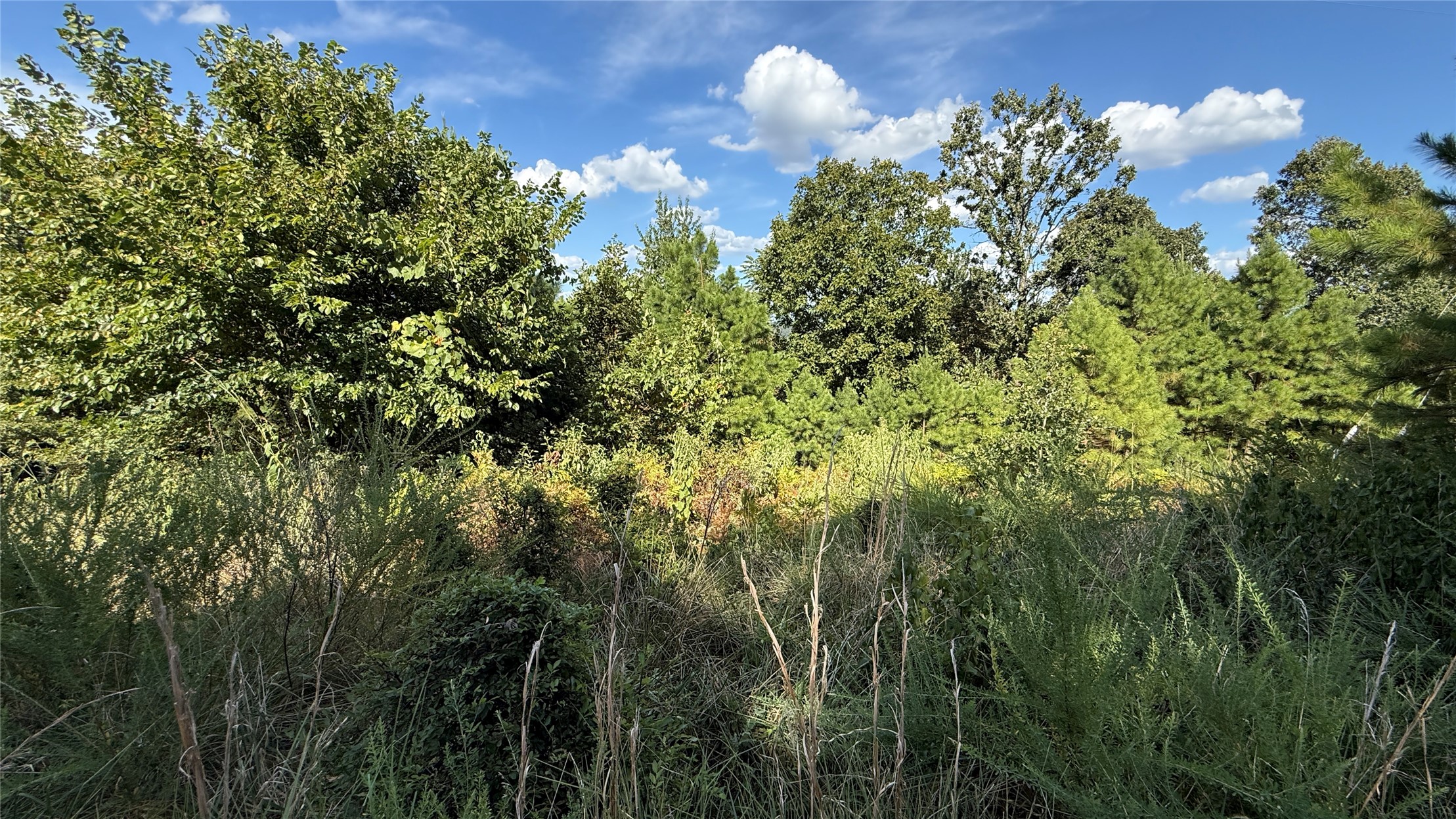 1269 Mallard Road Kansas OK 74347