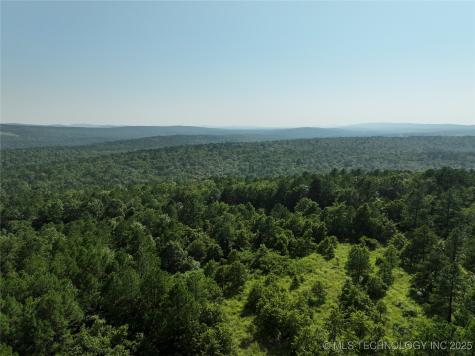 2 Hulsey Prairie Panola OK 74559