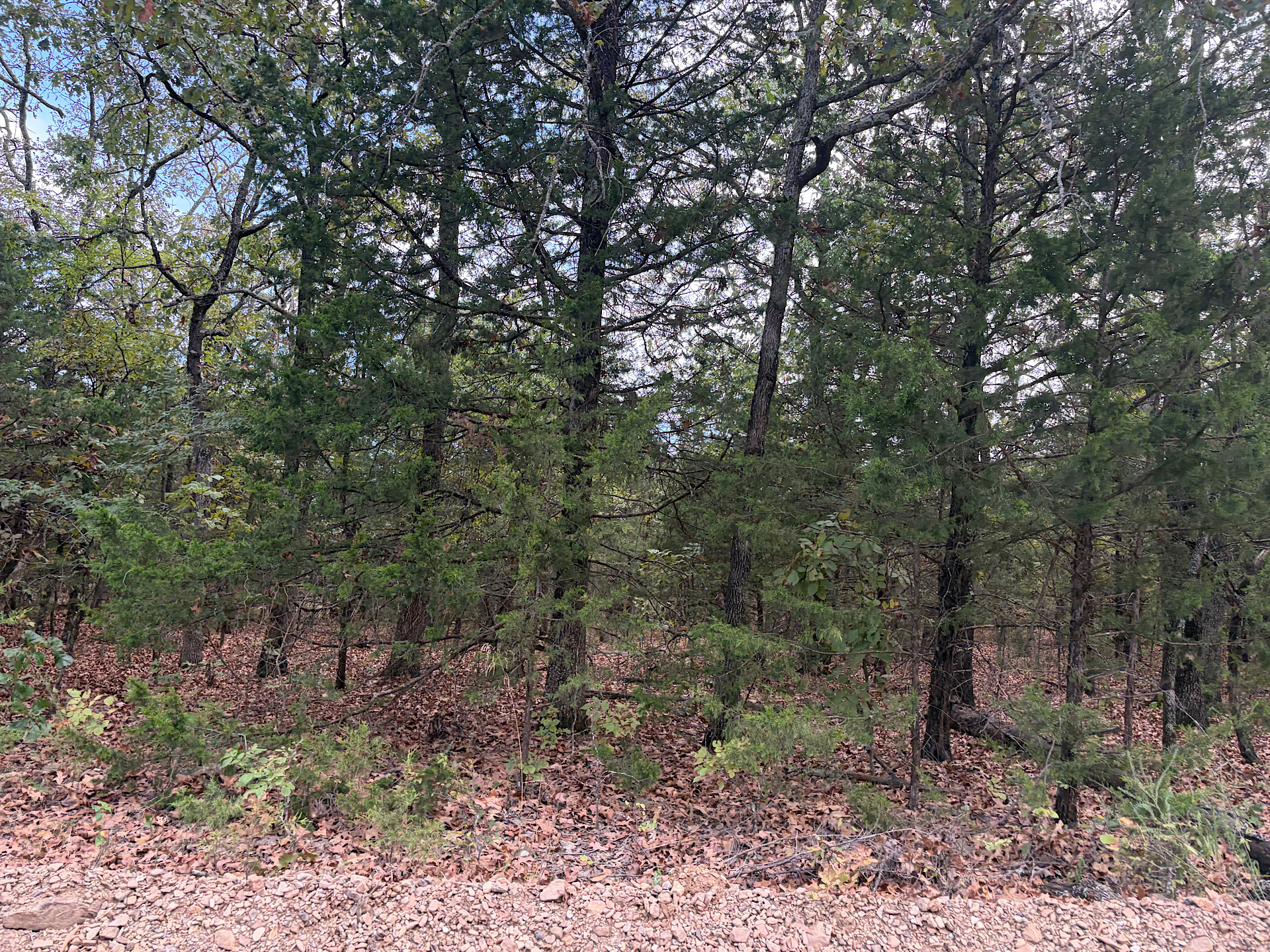 S 4485 Road Gore OK 74435