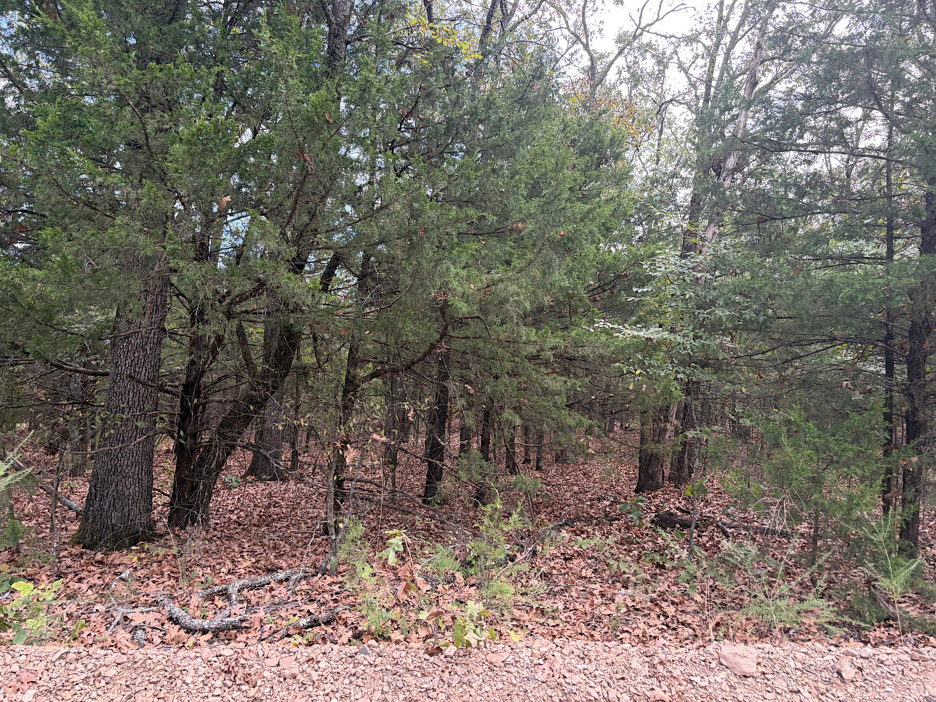 S 4485 Road Gore OK 74435