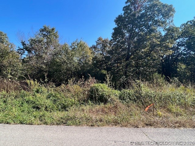 03 N 4300 Road Big Cabin OK 74332