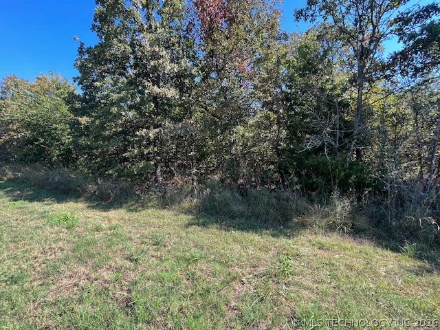 03 N 4300 Road Big Cabin OK 74332