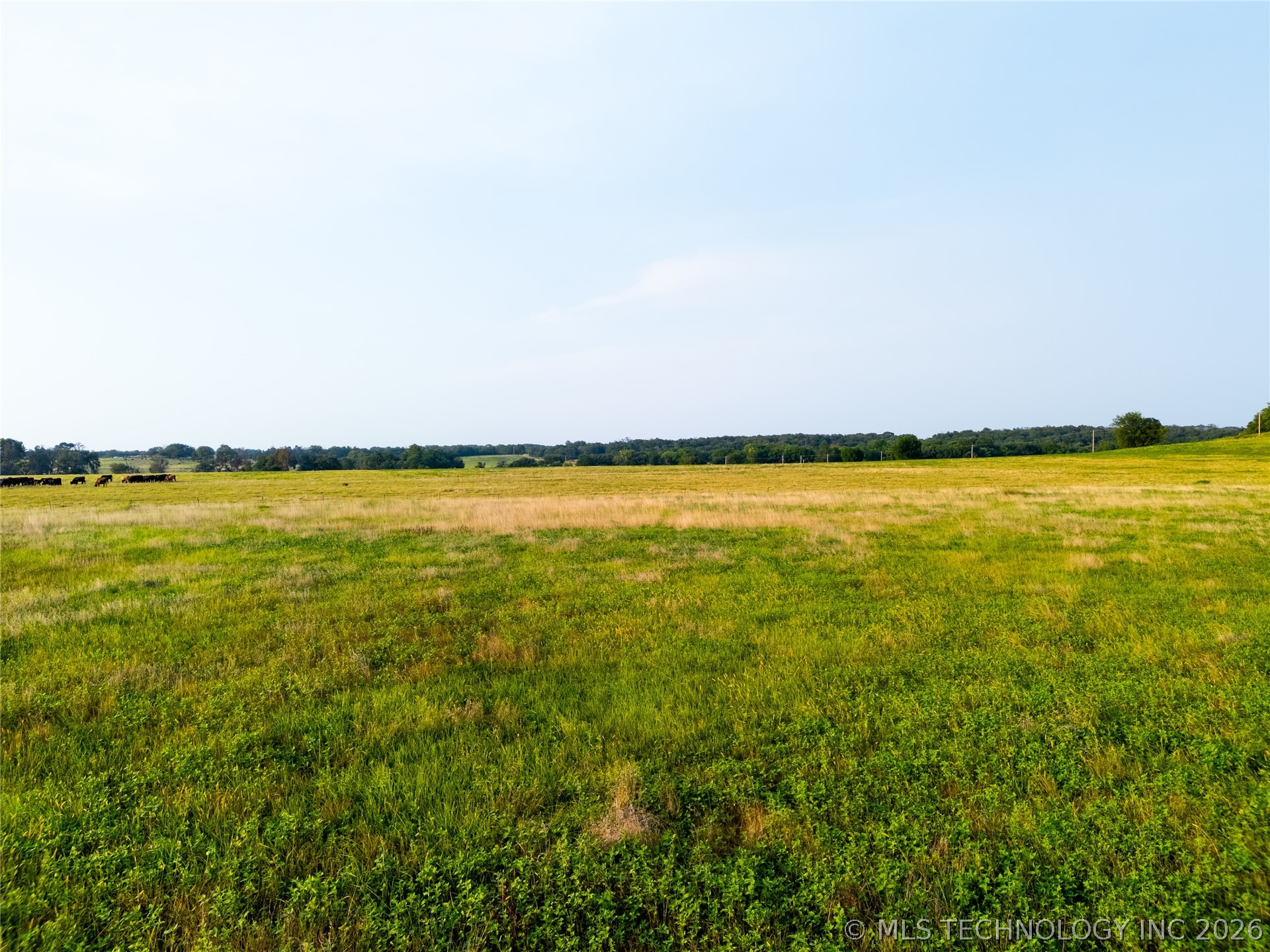 5 4280 Road Chelsea OK 74016