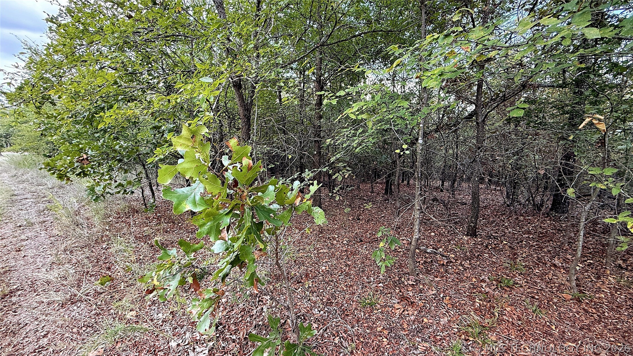 2 S 4531 Road Vian OK 74962