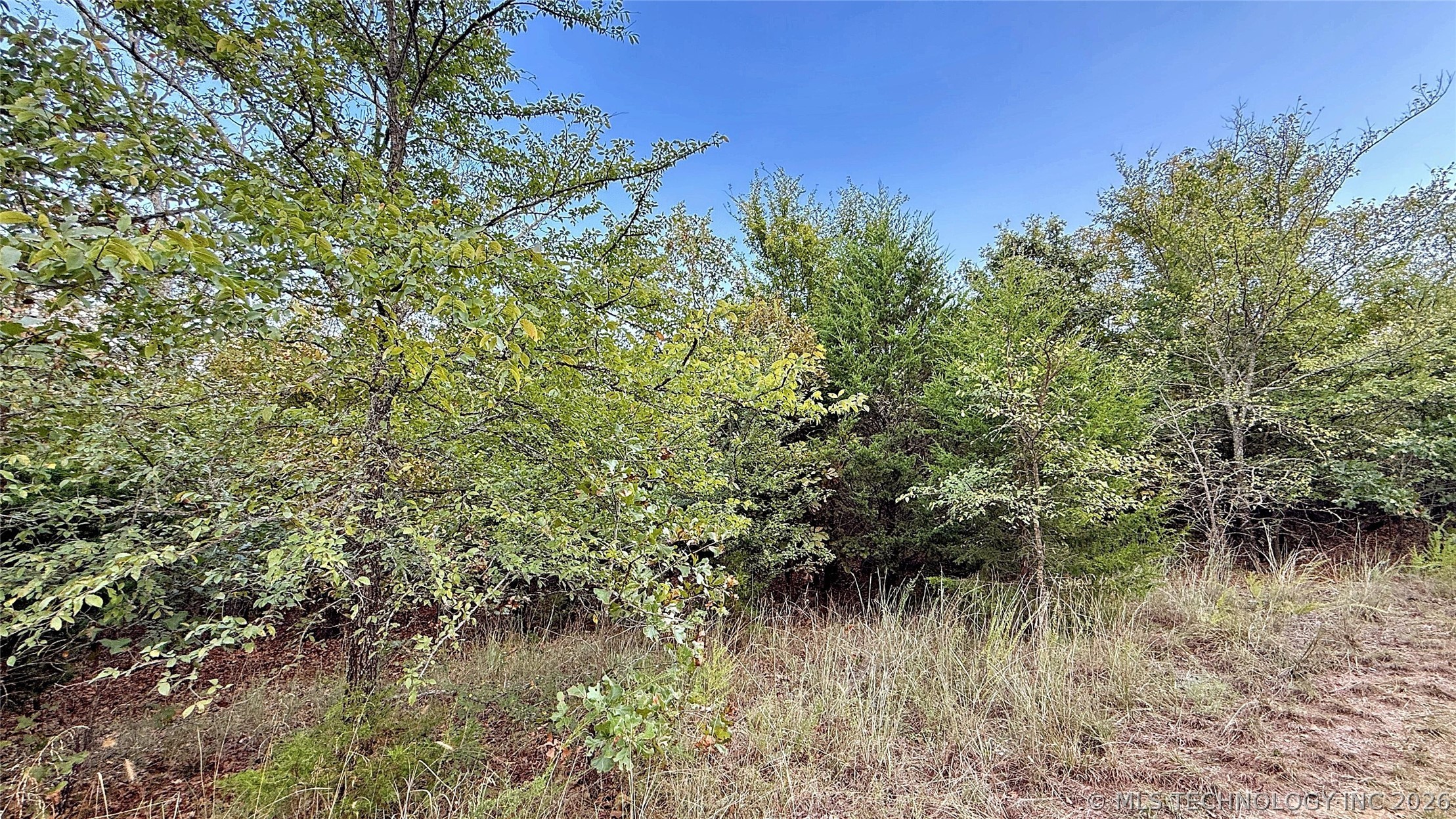 2 S 4531 Road Vian OK 74962
