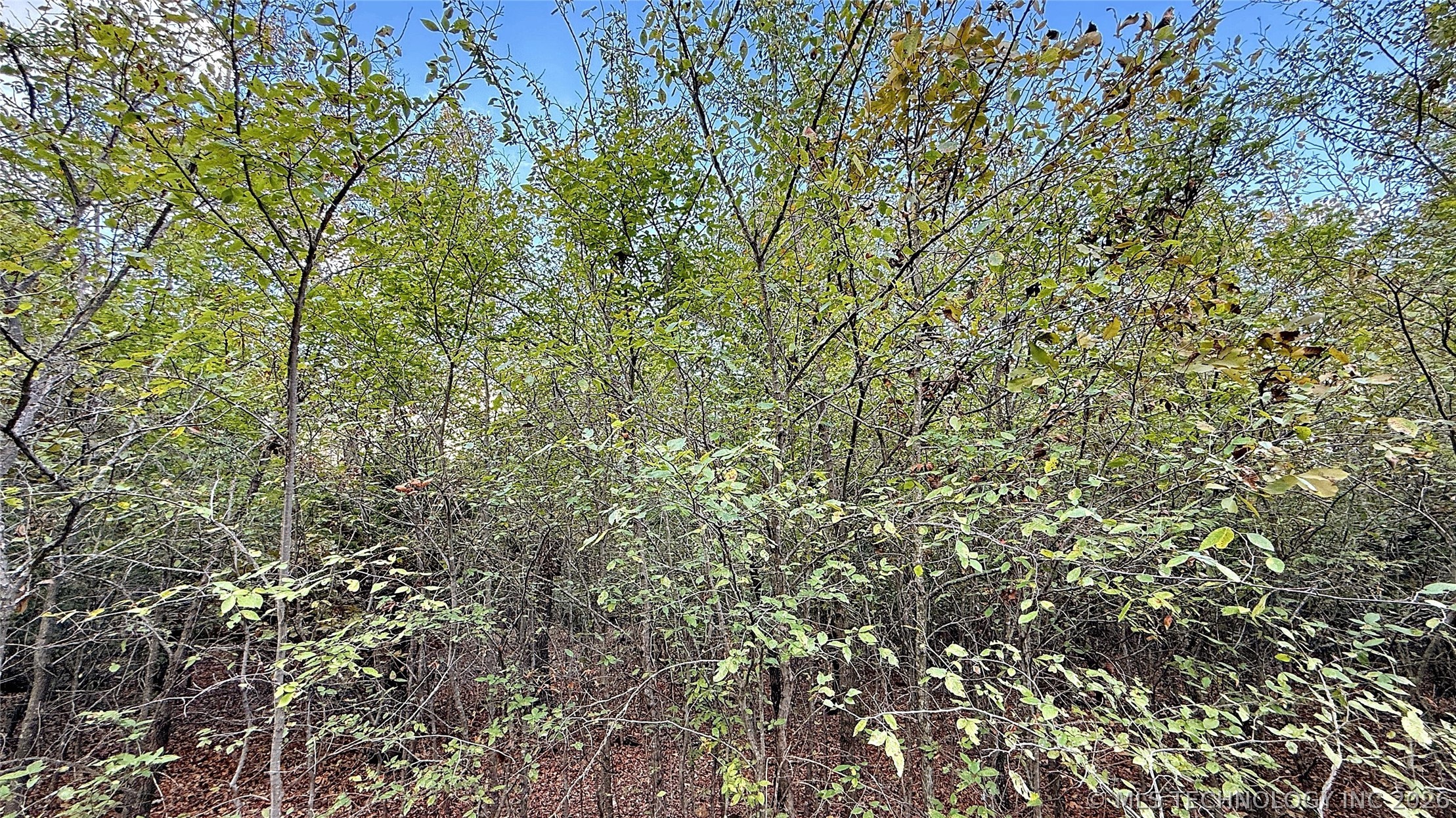 2 S 4531 Road Vian OK 74962