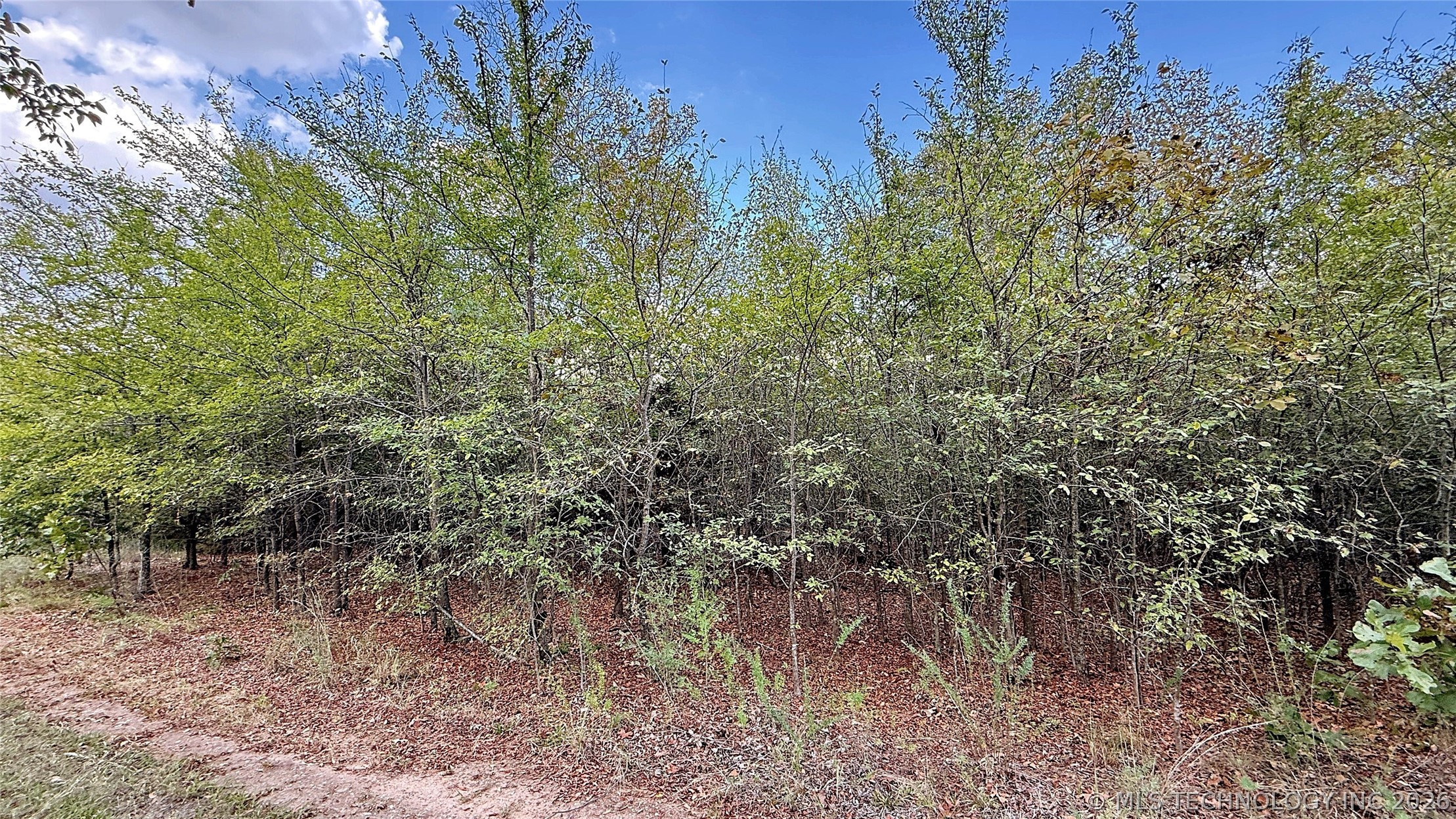 2 S 4531 Road Vian OK 74962