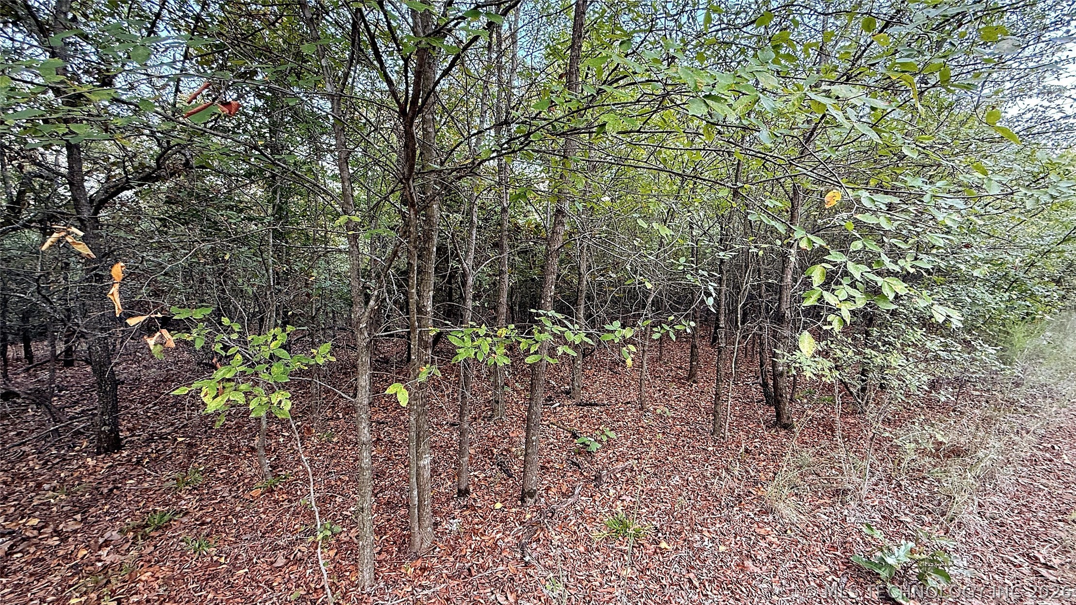 2 S 4531 Road Vian OK 74962