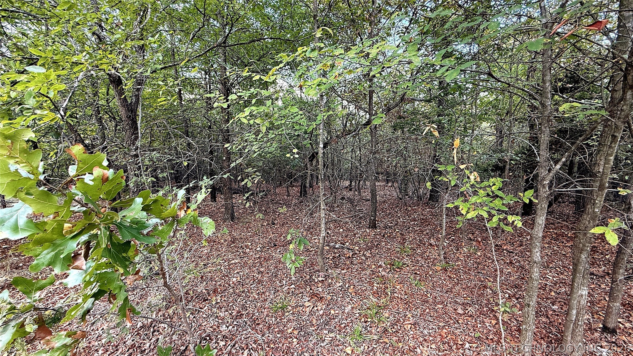 2 S 4531 Road Vian OK 74962