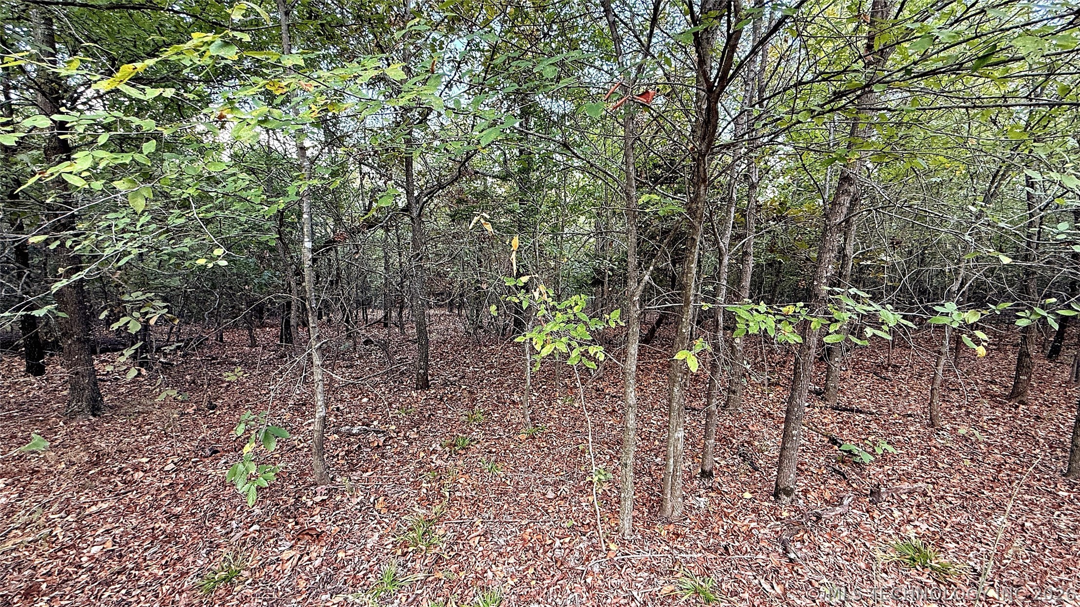 2 S 4531 Road Vian OK 74962